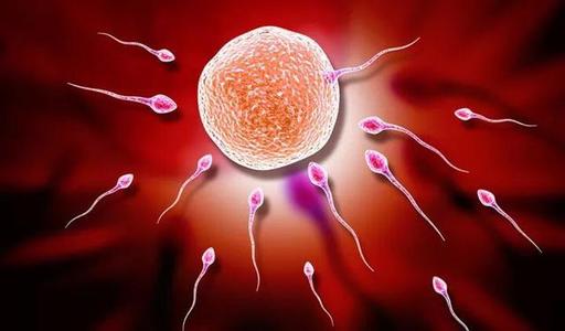 做试管婴儿的全部过程可怜天下父母心！