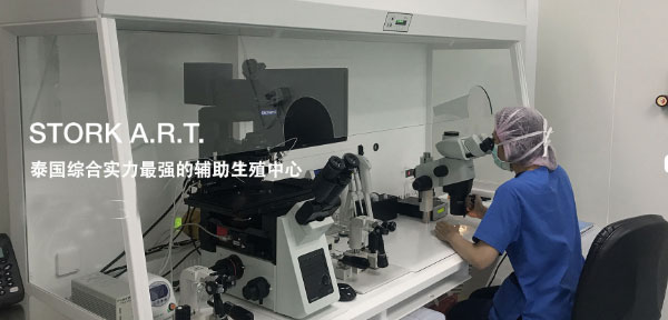 【STORK ART】泰国高成功率的试管婴儿医疗机构