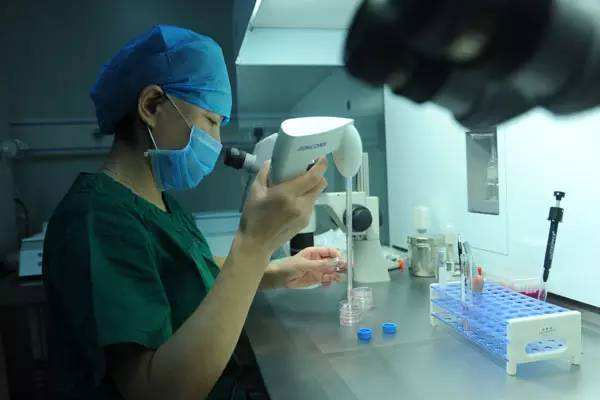 泰国试管婴儿攻略索引：费用，价格低=质量差