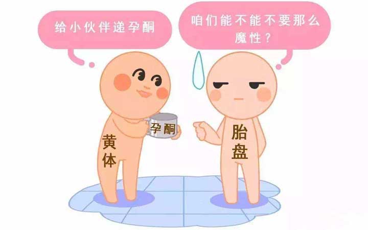 EK国际医院试管婴儿百科-孕酮篇