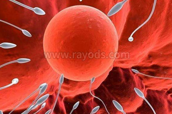 试管婴儿的胚胎竟分等级？什么胚胎会更好？