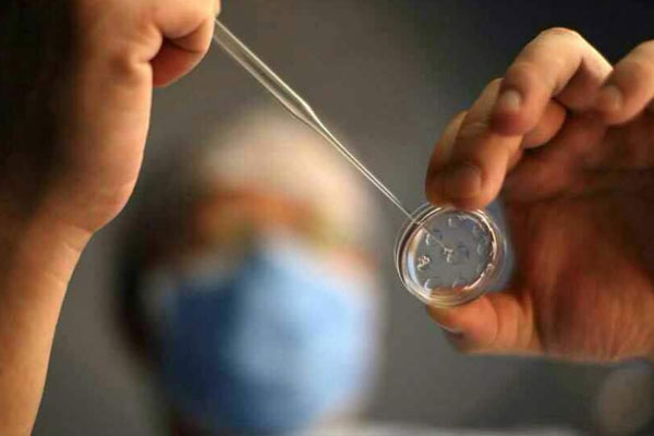 赴泰做第三代试管婴儿的费用3大因素决定