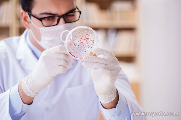 泰国杰特宁医院是公立还是私立的？