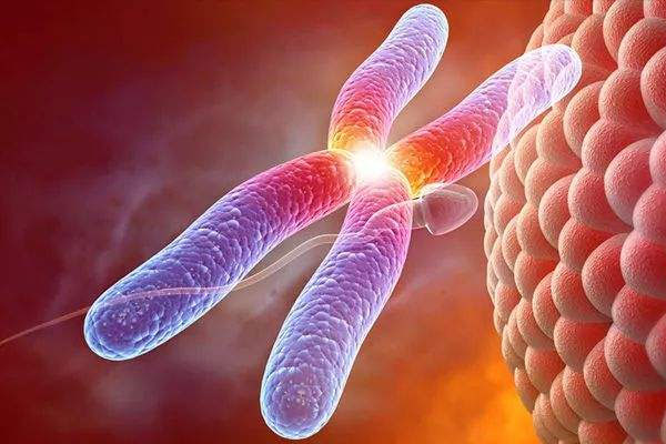 泰国试管婴儿攻略索引：案例，宁可信其无不可信其有