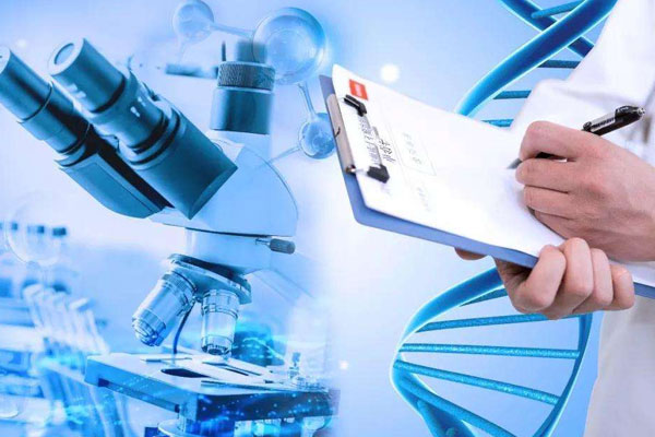 泰国试管婴儿攻略索引：供卵，禁止且违法