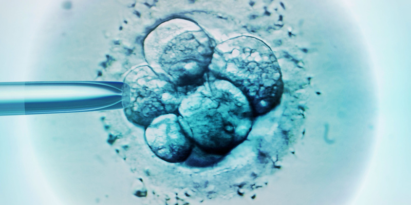 淮北助孕试管婴儿提高成功率攻略