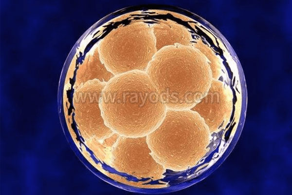 泰国试管是亚洲成功率最高的国家,泰国三代试管婴儿注意事项。