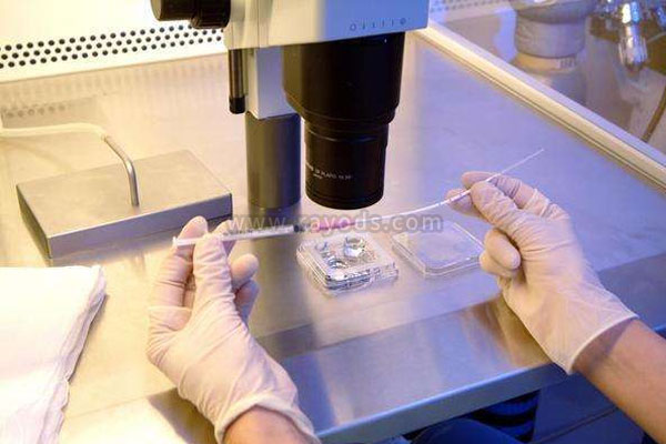 泰国EK国际医院第三代试管婴儿前期准备