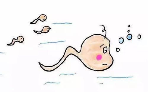 复发性流产能做美国试管婴儿吗