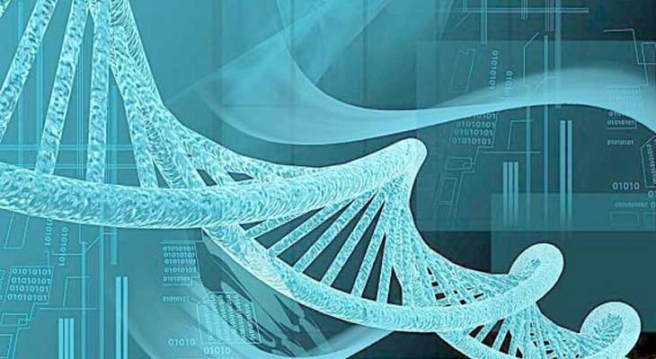 不孕症中的输卵管阻塞，我们该何去何从？