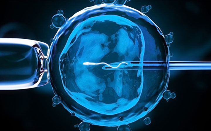 PGD是什么？泰国EK国际医院胚胎移植前遗传学检测技术