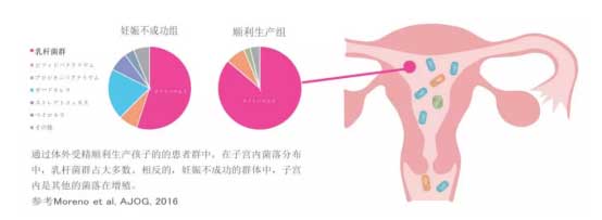 「菌群平衡」才有好孕气， 不孕不育的你快来找真相