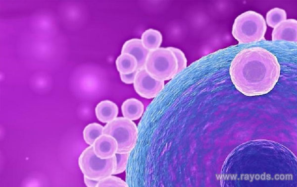 泰国杰特宁医院有HIV洗精的医生吗？