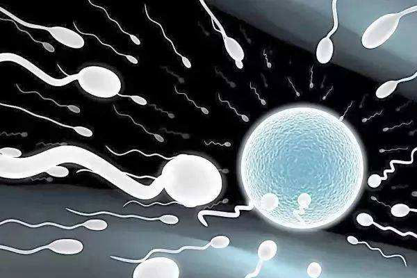 泰国试管婴儿攻略索引：技术，或许不是优势