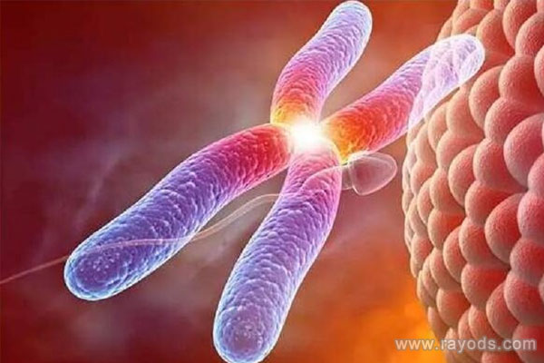 泰国杰特宁医院三代养囊成功率高吗？