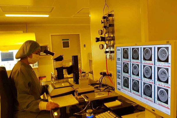 泰国试管婴儿攻略索引：冷冻卵子，综合婚育计划考量