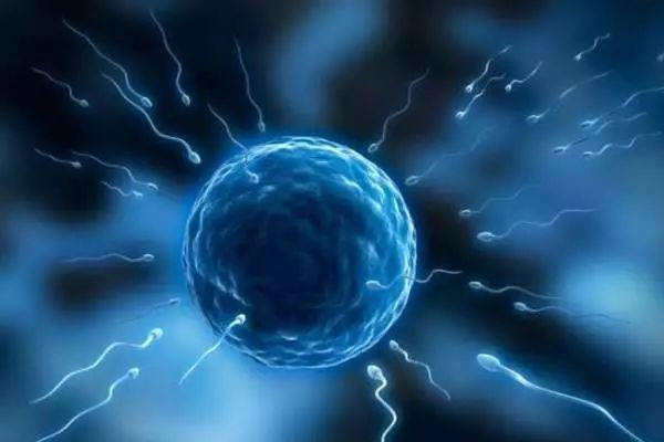 泰国试管婴儿攻略索引：注意事项，权益保障要学会