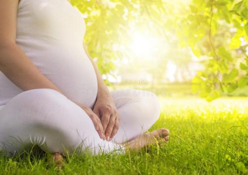 做乌克兰助孕试管婴儿找一个专业的翻译贵吗