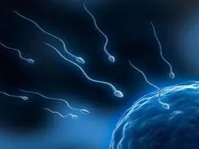 六安助孕提醒：胎停3次，艰辛求子路美国试管终圆梦！