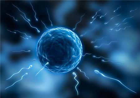 福州助孕试管婴儿移植成功就等于万事大吉了吗？这些方面万不可松懈