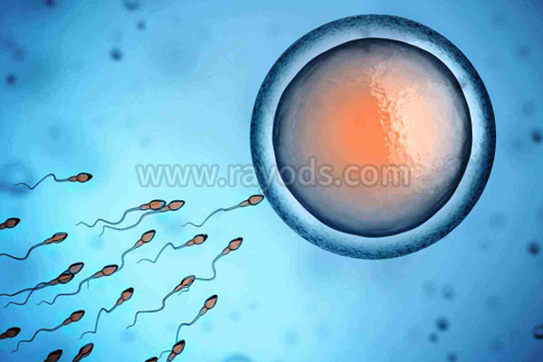 泰国第三代试管婴儿流程攻略：你准备好开启医疗之旅了吗？