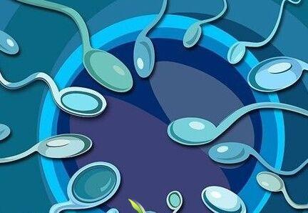 泰国试管婴儿移植后14天 ，出现这些症状可能是好孕了！