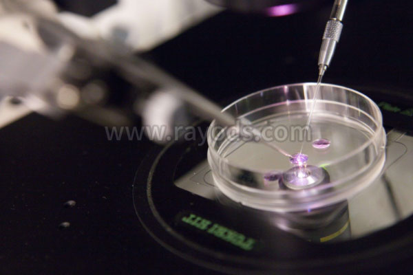 你觉得十几万做泰国试管值吗？泰国试管婴儿帕雅泰3科普