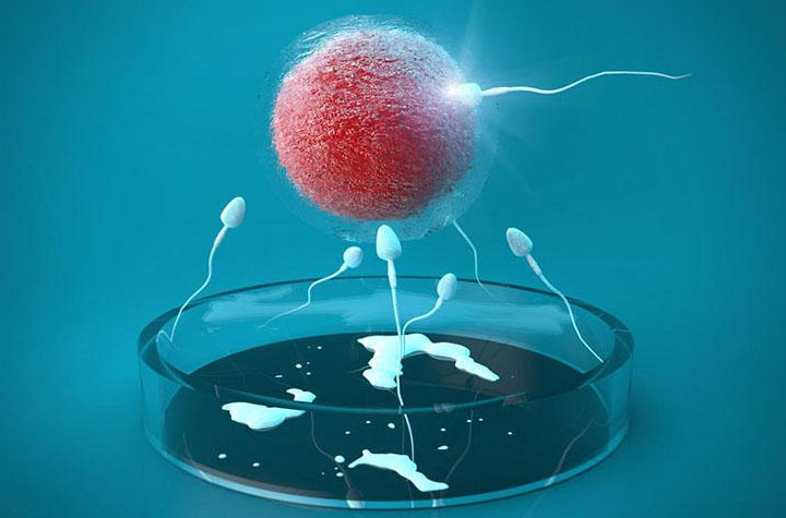 泰国试管婴儿攻略索引：流程，细节决定成败