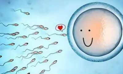 你知道试管婴儿胚胎移植后胚胎在距离着床的这段时间经历了什么吗？