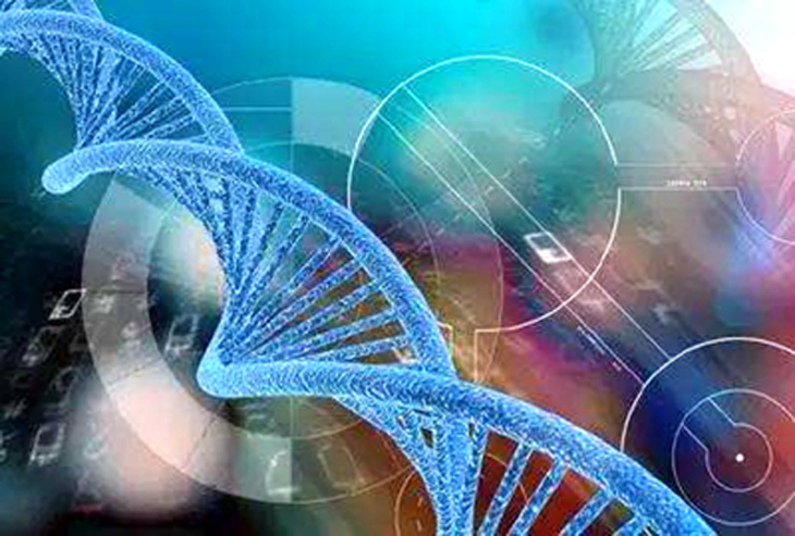 泰国试管篇之泰国Superior A.R.T 医院   E试管