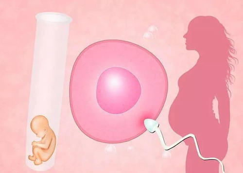 龙岩助孕提示泰国试管婴儿翻译很重要吗?