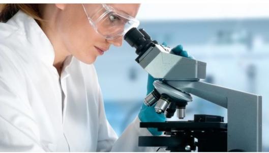 美国试管婴儿可用于治疗由多种不同病症引起的不孕症包括