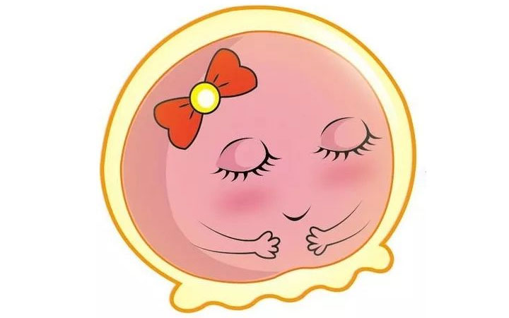 EK国际医院试管婴儿百科-AMH值篇