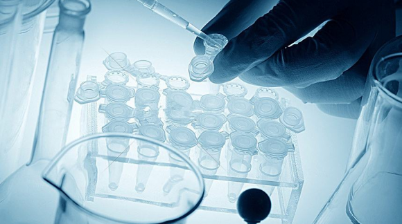 广州助孕试管婴儿技术在生男生女方面有哪些独到之处？