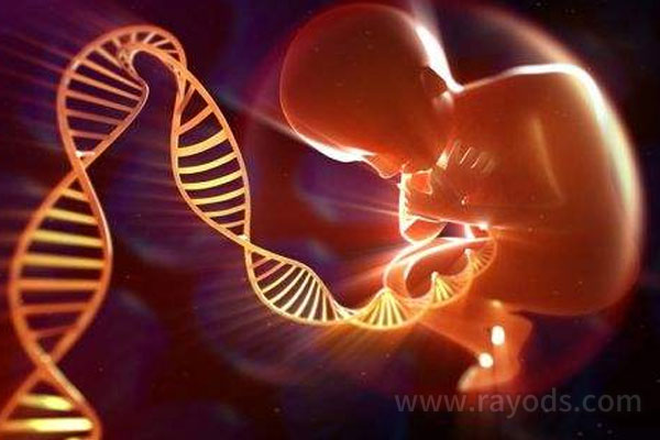 想在泰国做试管婴儿什么人符合条件呢？