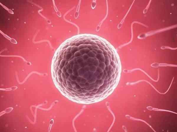 中山市试管婴儿费用明细分享，附2023三代供卵价格表