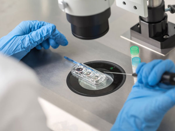 试管取卵后胚胎没配成功多久会打电话通知