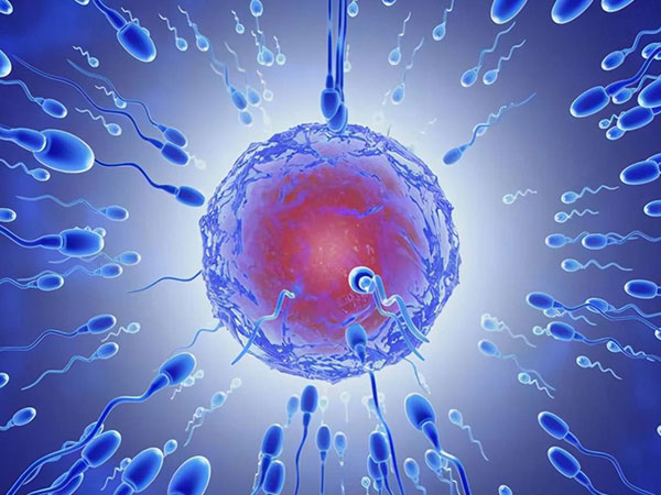 人授后可以坐20个小时的长途车回家吗？