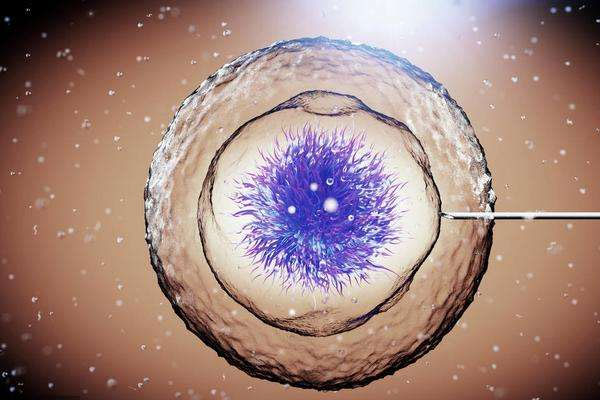 江门中心医院试管婴儿可以做供精试管和供卵试管吗？