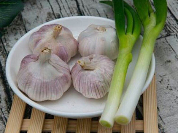 做试管移植16天后测出怀孕应该吃些葱和蒜吗？