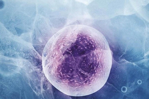 2023石家庄冻卵多少钱，保存费按月90-120元/月/管