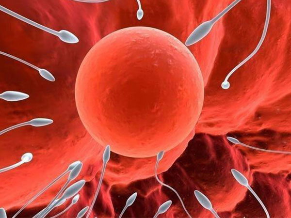 男人精子没有用不活动精子43.8%能不能做试管婴儿？