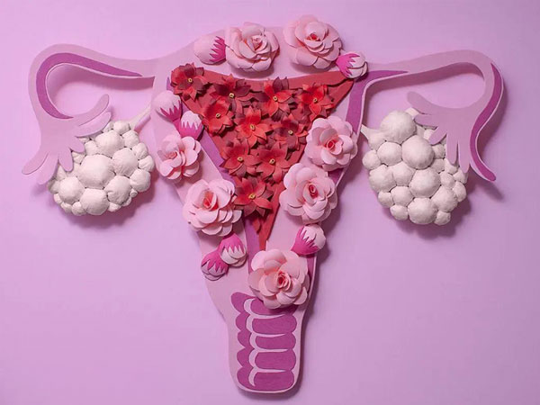 多囊排不了卵，那卵巢里面的卵子最后都去哪了？