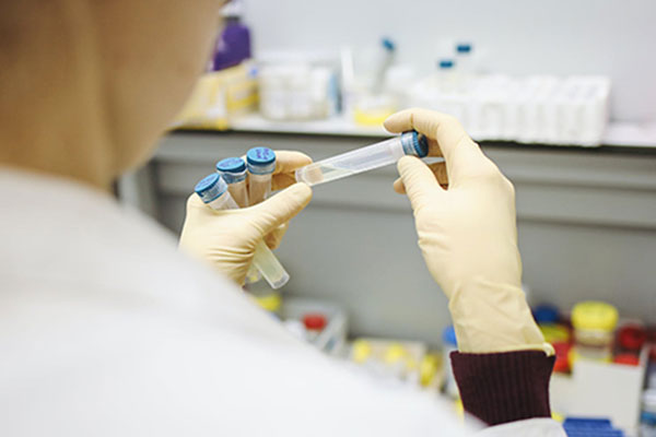 试管养囊胚5天和6天哪个成功率会更高？