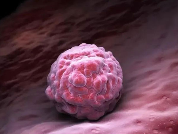 第8天的胚胎着床不稳定hcg只涨了十几还会重新二次着床吗？