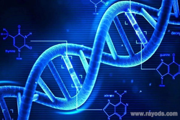 云大医院和昆华医院哪个医院试管技术的成功率高？