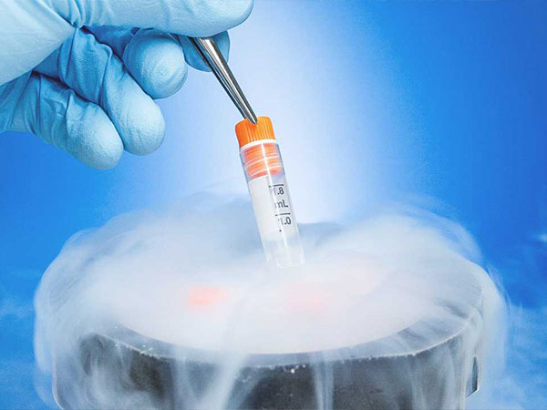 三天8细胞的冻胚在移植前做解冻复苏需要几小时？