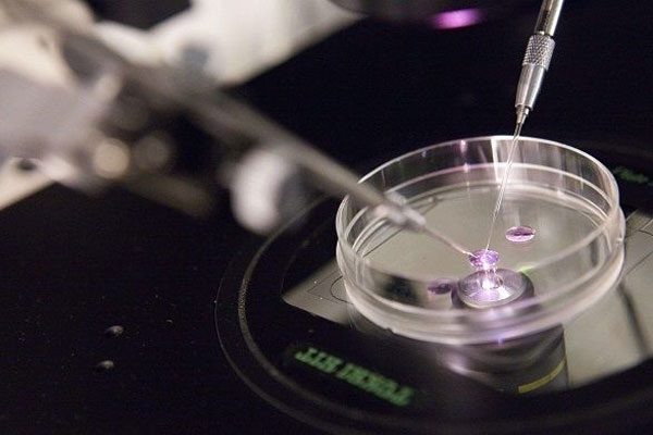 玉林市做一代试管婴儿孩多少钱？