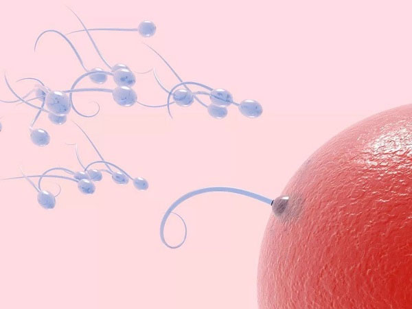 检查精子活力需要多少费用,全套下来也只要这个价