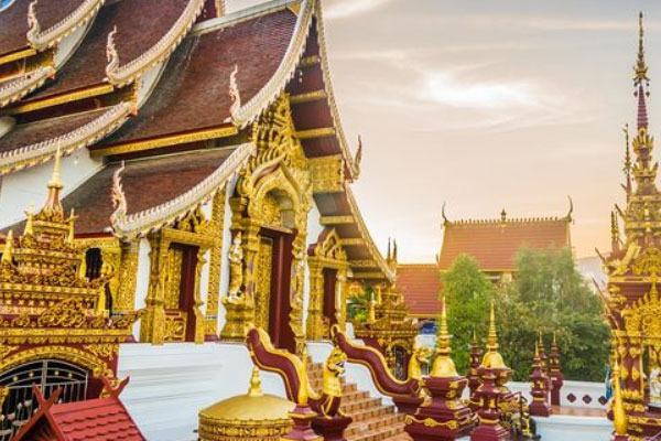 为什么泰国试管婴儿技术比我国好？